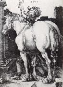 Albrecht Durer The Large Horse oil painting